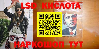 стаф Кулебаки