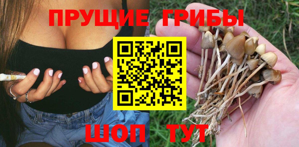 Псилоцибиновые грибы Psilocybine cubensis  Галлюциногенные грибы прущие грибы  Вход с VPN  Грязи 