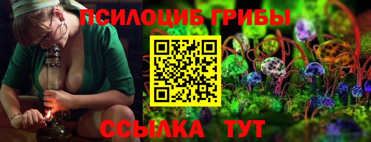 Псилоцибиновые грибы Psilocybine cubensis Грязи